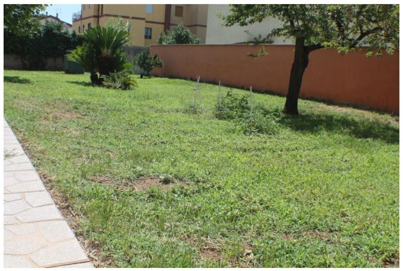 Chiu Definitivamentee Homestay *